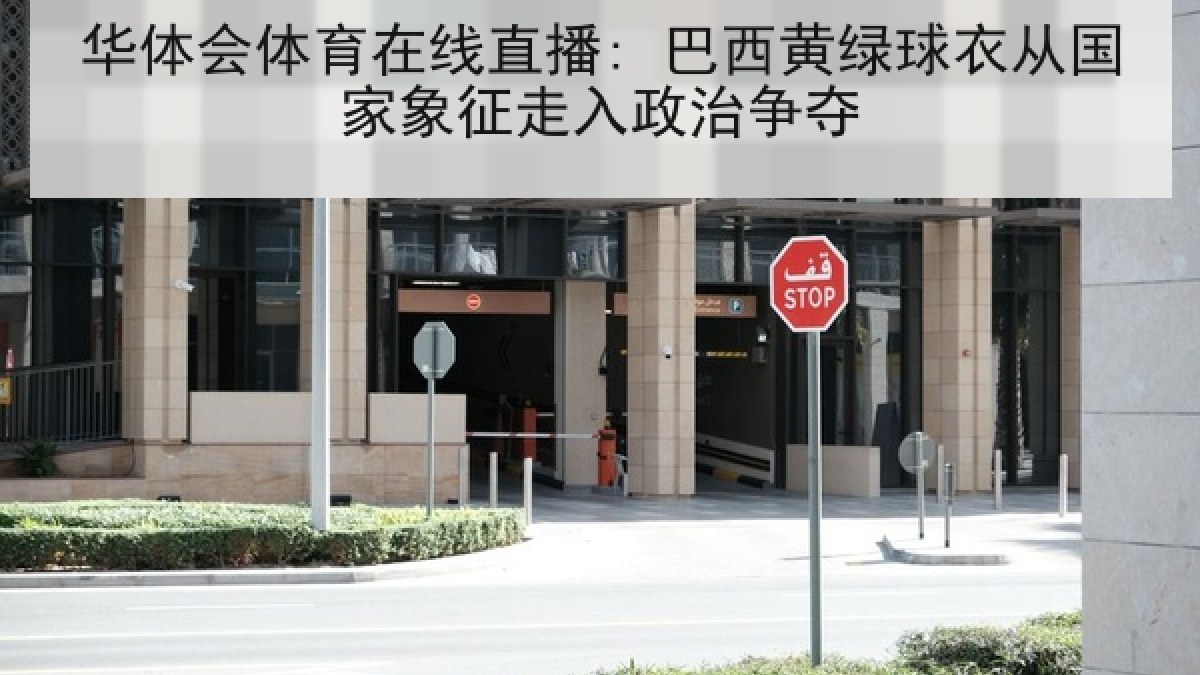 华体会体育在线直播: 巴西黄绿球衣从国家象征走入政治争夺